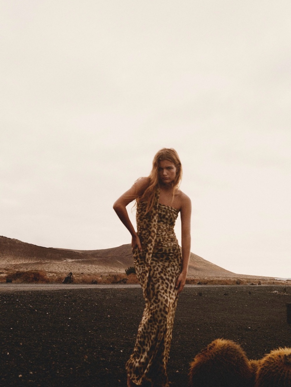 Zara Leopard Print Tulle Mesh 2 Piece Matching Set Maxi Skirt Top M - Picture 2 of 10